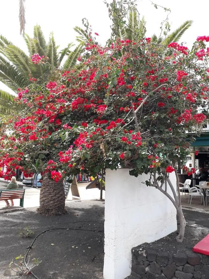 Sunny Self-Catering Apartment Costa Teguise, Lanzarote, Spain España